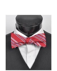 Selini Red 100% Silk Woven Freestyle Bow Tie Fbs3700