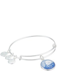 Alex and Ani Words Are Powerful Youre So Hot Bangle Bracelet Bracelet