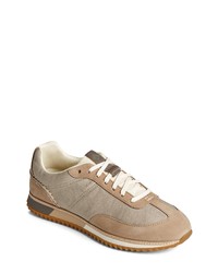 Sperry Top-Sider Plushwave Sneaker In Taupe At Nordstrom