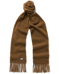 Ami Fringed Embroidered Wool Scarf