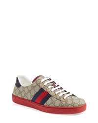 Gucci New Ace Webbed Low Top Sneaker