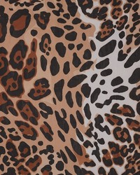 Charming charlie Leopard Chic Scarf