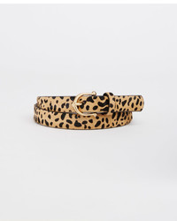 Ann Taylor Leopard Haircalf Belt