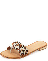 Seychelles City Slicker Leopard Print Calf Hair Sandal