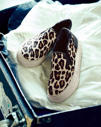 Ash Jungle Leopard Print Calf Hair Sneaker
