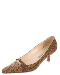 Manolo Blahnik Leopard Print Pointed Toe Pumps