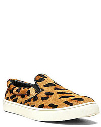 Steve Madden Ecentric Casual Sneakers