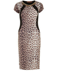 Dorothy Perkins Jolie Moi Brown Leopard Print Midi Dress