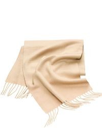 Jos. A. Bank Cashmere Scarf  Solid