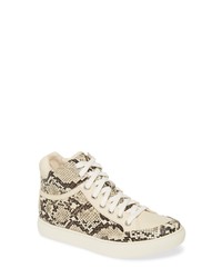Coconuts by Matisse Pixie Snake Print High Top Sneaker