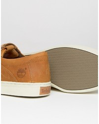 Timberland Oxford Sneakers