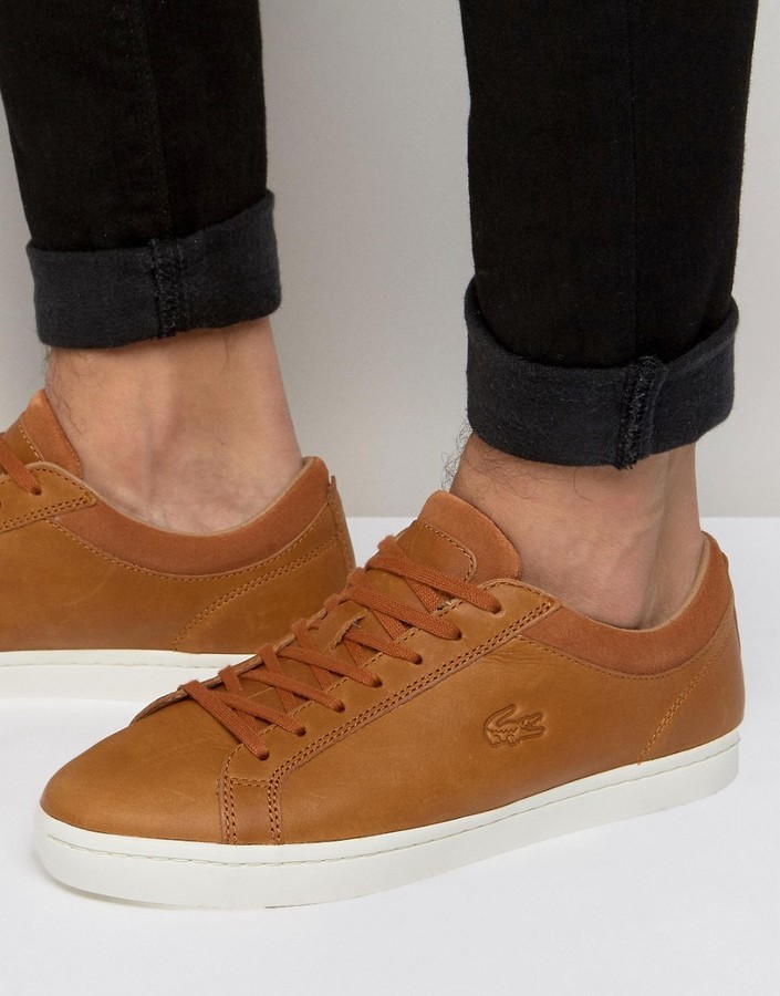 lacoste straightset brown