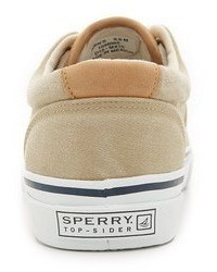 Sperry Striper Ll Cvo Sneakers
