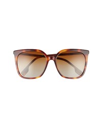 Burberry 56mm Light Havana Square Polarized Sunglasses In Light Havanagradient Brown At Nordstrom