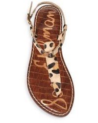 Sam Edelman Gigi Leopard Print Calf Hair T Strap Sandals