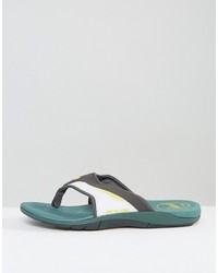 Animal Fader Flip Flops