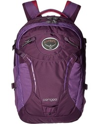 Osprey Perigee Backpack Bags