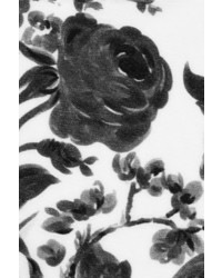 Stella McCartney Floral Print Cotton Blend And Stretch Crepe Dress
