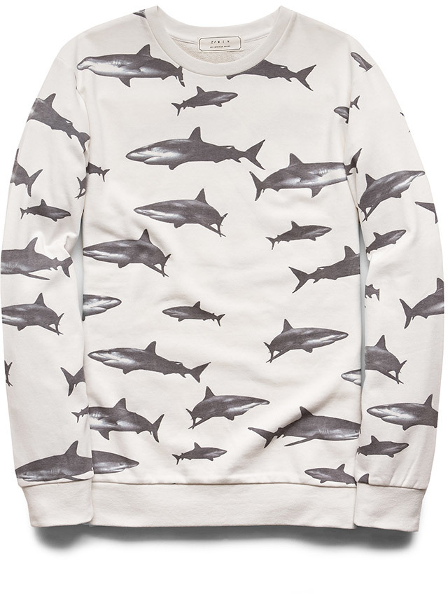 Shark sweatshirt cheap forever 21