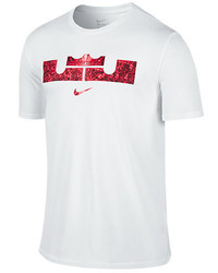 Nike Lebron Foundation Lion T Shirt