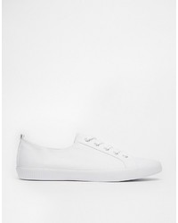 Asos Collection Dagnall Canvas Lace Up Sneakers