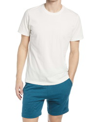 Sol Angeles Essentials Stripe Crewneck T Shirt