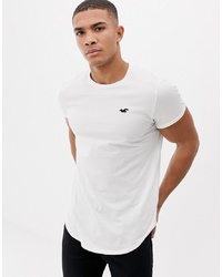 Hollister Solid Curved Hem T Shirt Seagull Logo Slim Fit In White