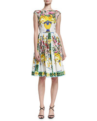 Dolce & Gabbana Floral Vase Cap Sleeve Fit Flare Dress