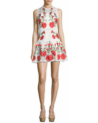 Alexis Sabella Sleeveless Floral Embroidered Fit And Flare Linen Dress