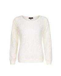 New Look Petite Cream Brushed Lace Sweater