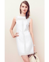 Adrianna Papell Mixed Lace Cotton Shift Dress