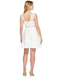 Ted Baker Monaa A Line Shift Dress With Lace Dress
