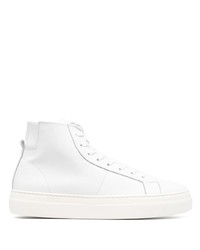 Low Brand High Top Lace Up Sneakers