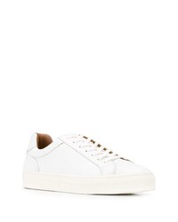 Tommy Hilfiger Low Lace Up Sneakers