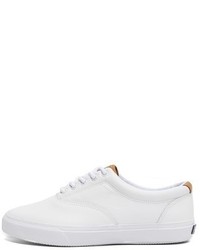 Sperry Striper Ll Cvo Leather Sneakers