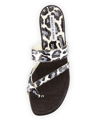 Manolo Blahnik Susa Leopard Print Snake Flat Thong Sandal Blackblue