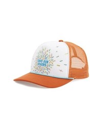 Patagonia Save Our Rivers Interstate Trucker Hat