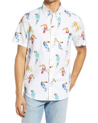 Chubbies The Dude Wheres Macaw Stretch Short Sleeve Shirt In The Dude Wheres Macaw At Nordstrom