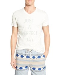 Sol Angeles Perfect Day V Neck T Shirt