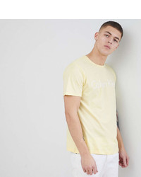 Calvin Klein Crew Neck T Shirt With Logo