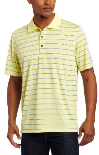Izod Short Sleeve Jersey Stripe Golf Polo, $52 | Amazon.com 