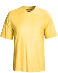 Modelcurrentbrandname Bullock Jones Sublime Washed T Shirt V Neck Short Sleeve